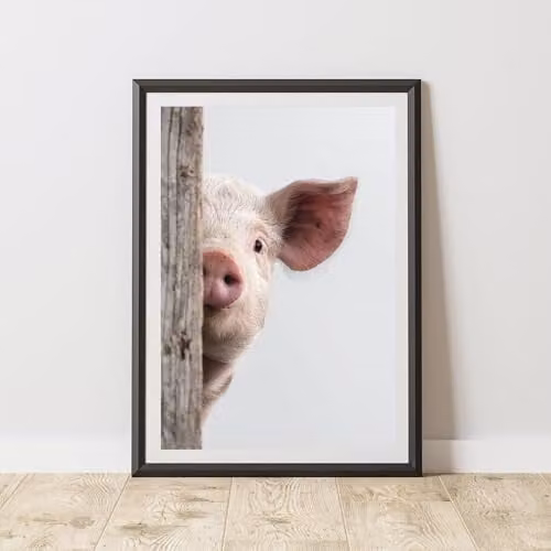 60 Second Makeover Peeking Pig Animal Print Wall Art Poster, Multicolour, A3