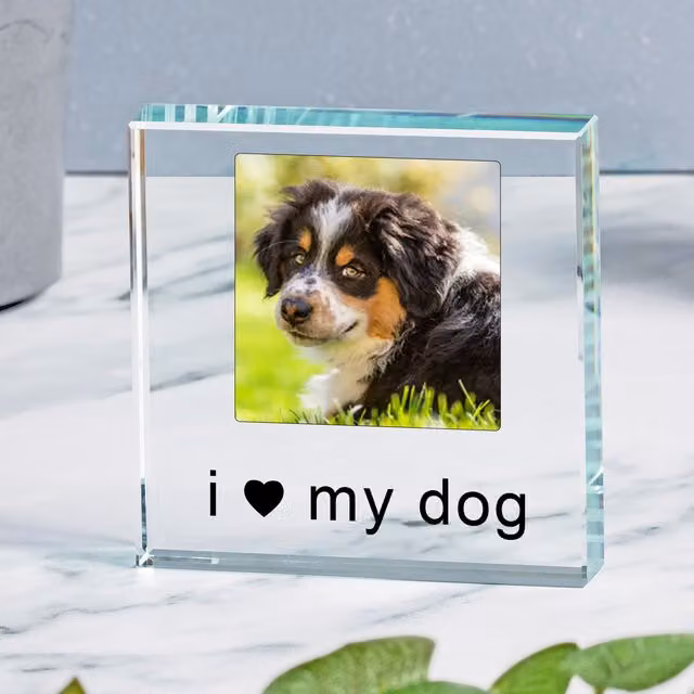 Uniqueful Personalised I We Love Dog Cat Glass Token in Transparent and Beige