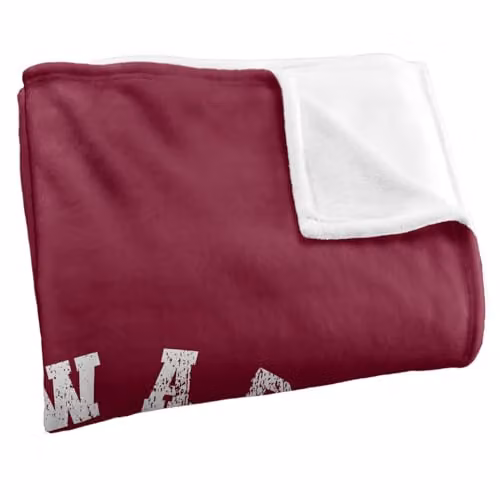 Warner Bros. Harry Potter Gryffindor Quidditch Super Soft Fleece Throw Blanket, Red and Multicolour, W: 91.44 cm, L: 147 cm – 2