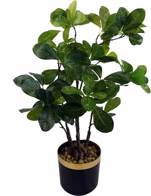 Green Artificial Tropical Bonsai Tree in Display Pot, Height: 30 cm