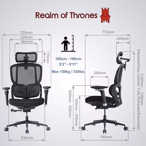 Realm of Thrones Ergonomic Mesh Office Chair in Black for Professionals and Home Office, W/D/H: 120 x 62.98 x 66 cm – 8