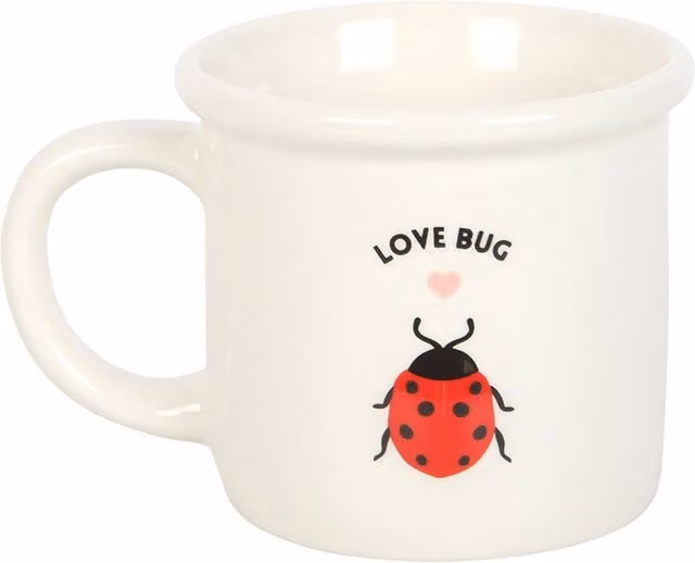 Something Different Love Bug Ladybird 3D Ceramic Mug in White