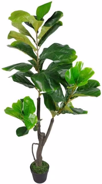 Leaf Design UK Realistic Artificial Fiddle Fig Tree, Green, Height: 120 cm – 1