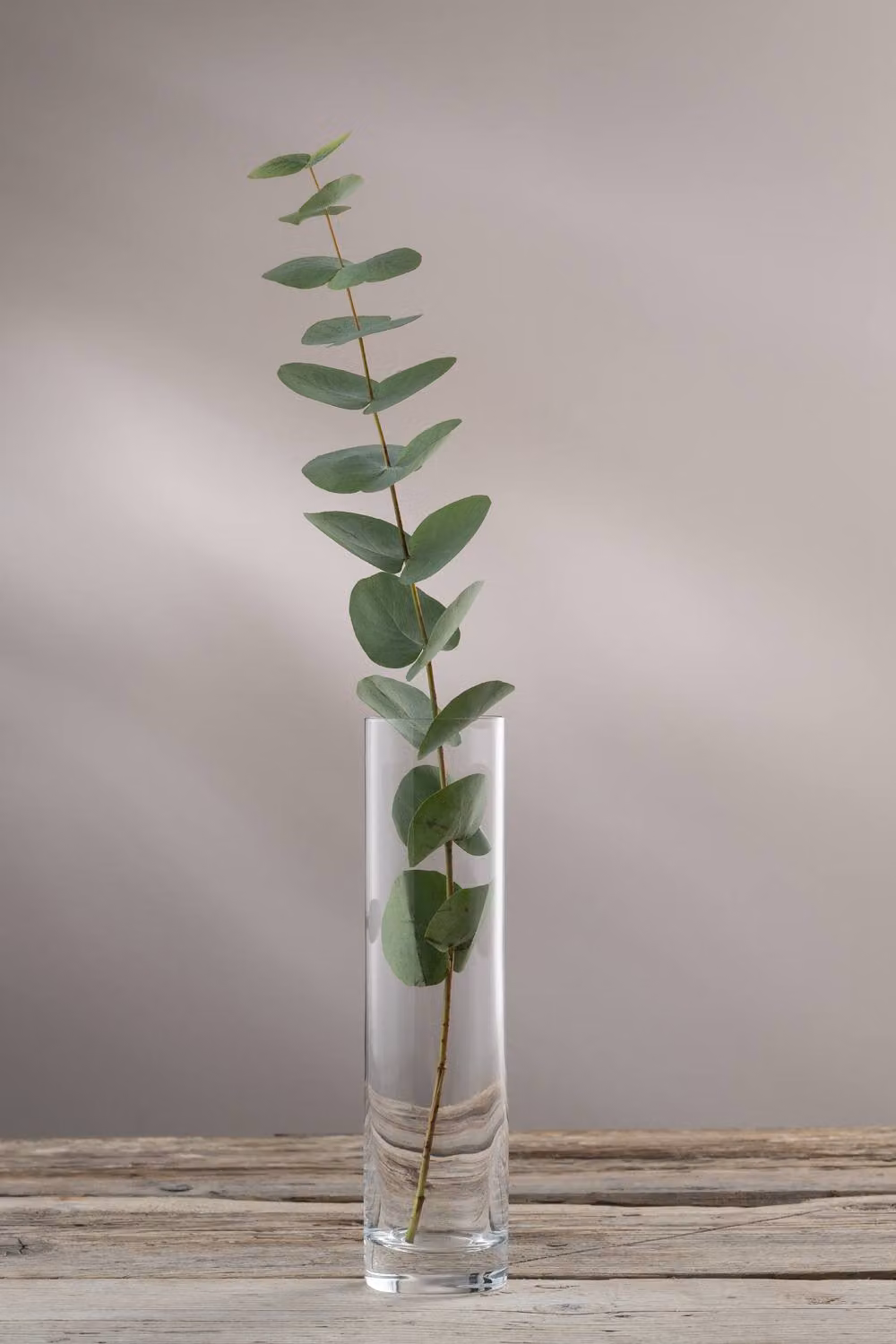Galway Crystal Pillar Vase in Clear Glass, Height: 24.13 cm – 2