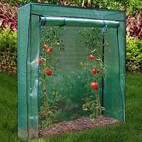 Faboer Green Freestanding Tomato Greenhouse with Reinforced Steel Frame and Plastic Cover – 3