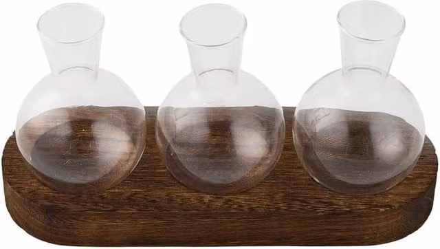 PAWNORA Desktop Propagation Station with Clear Glass Bulb Vases and Wooden Stand