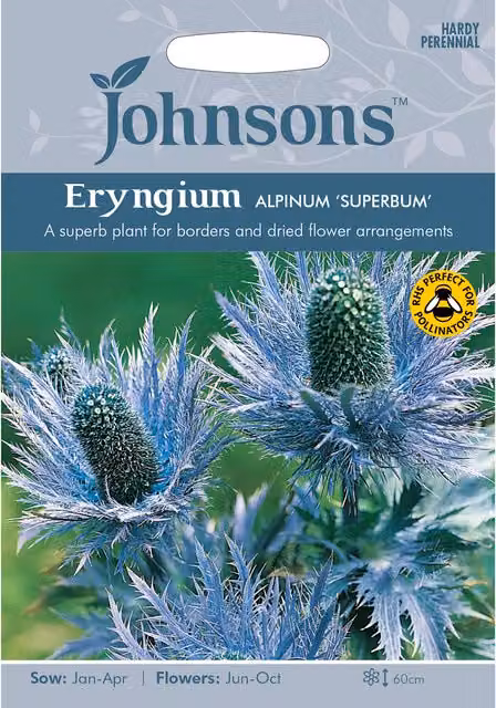 Johnsons Eryngium Alpinum Superbum Blue Ornamental Flower Seeds