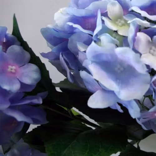 Leaf Design UK Blue Artificial Hydrangea Plant with 200 Flowers, Height: 90 cm – 3
