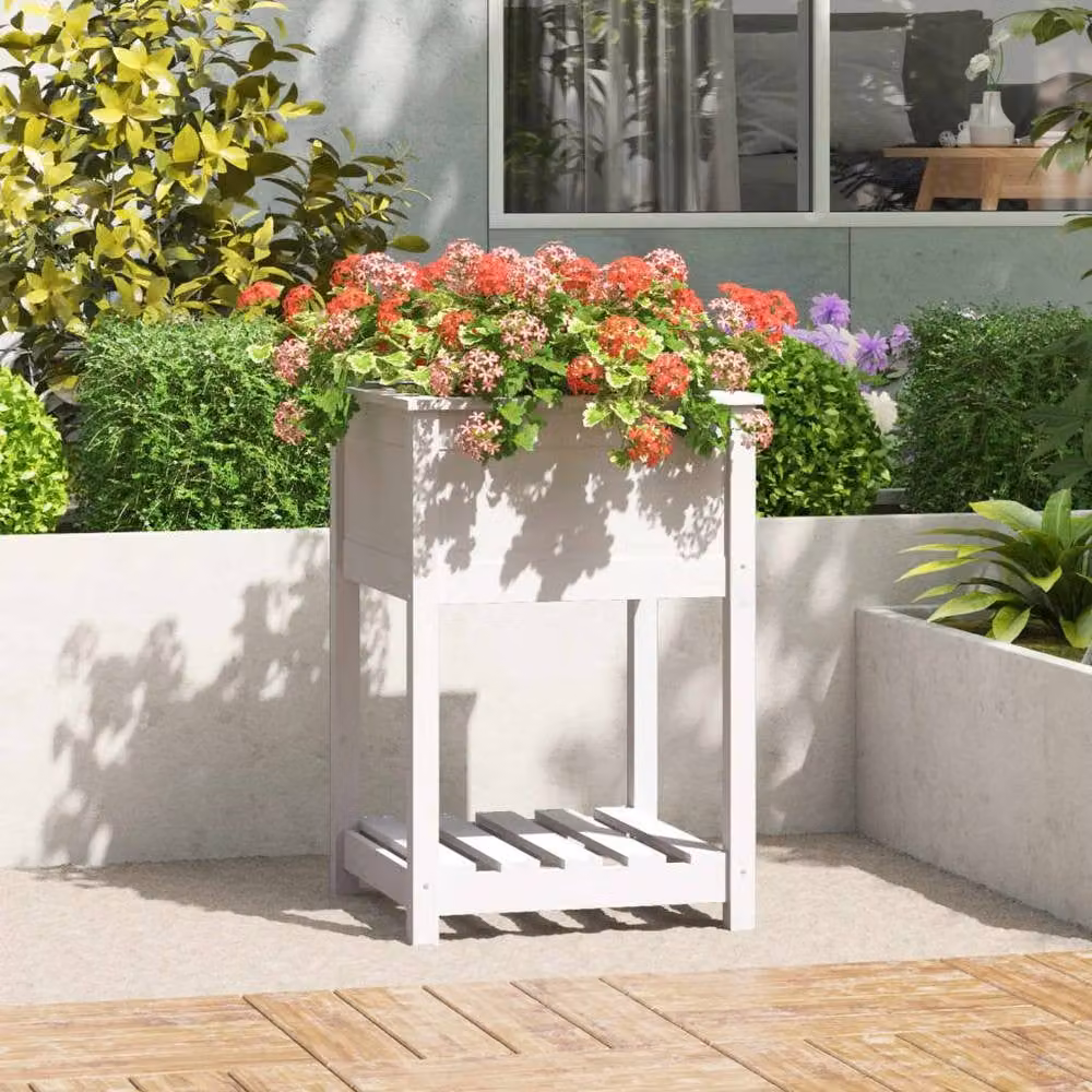 Berkfield White Solid Wood Pine Planter with Shelf W/D/H: 54 x 54 x 81 cm – 2
