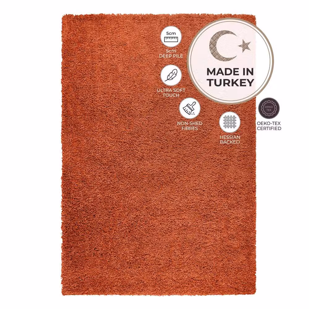 Bravich LTD Shaggy Area Rug in Terracotta, W/D/H: 290 x 200 x 5 cm – 3