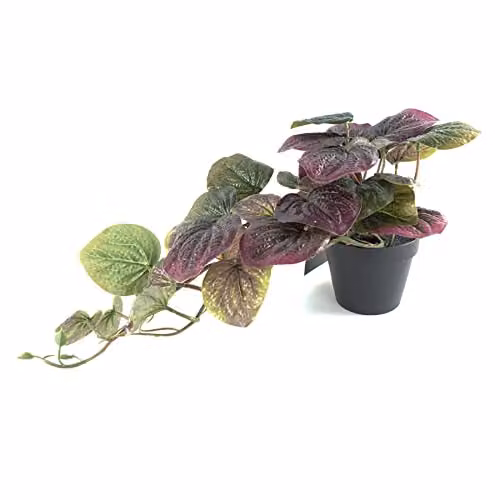 Leaf UK Realistic Potted Pothos Artificial Plant, Purple and Green, Height: 35 cm – 2