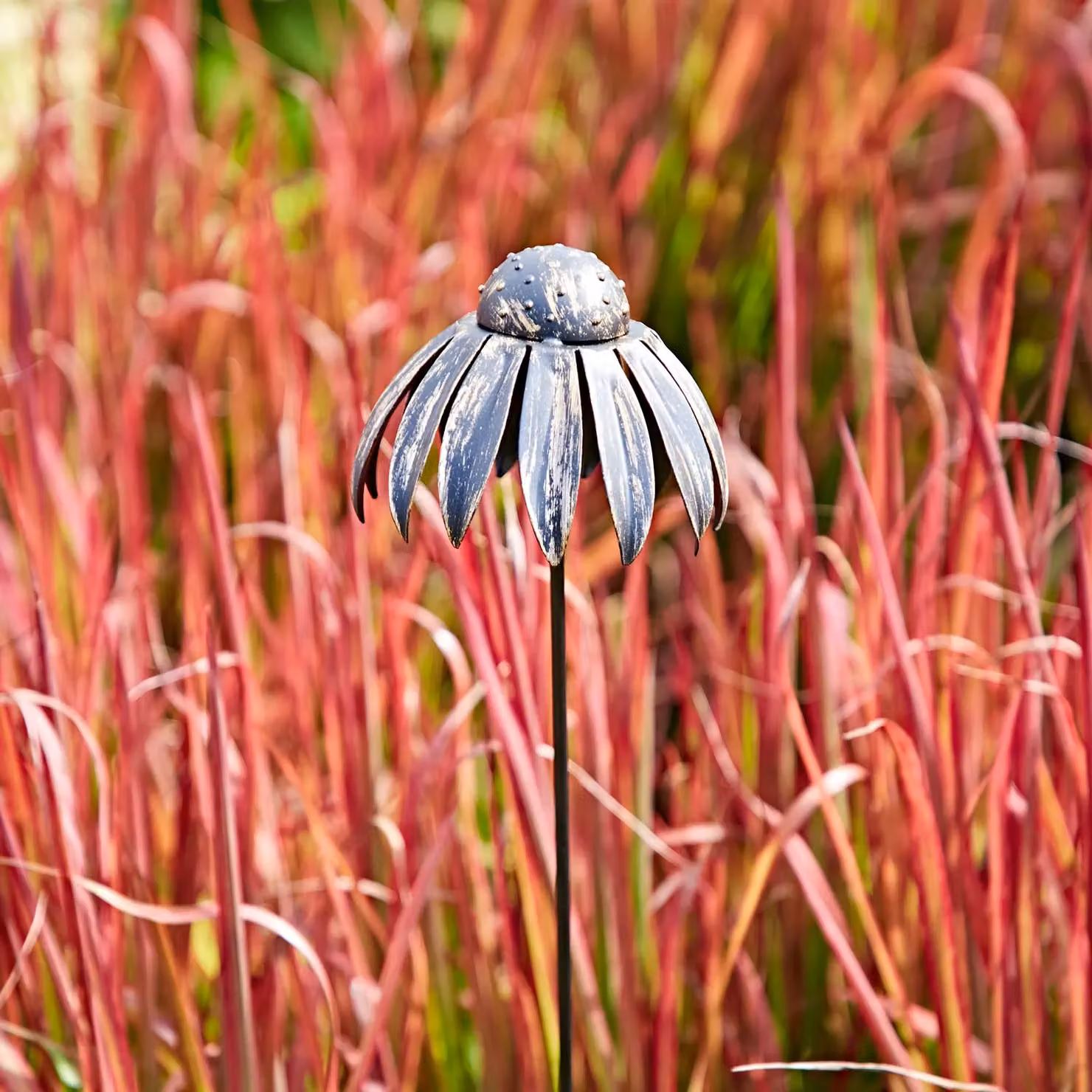 Paper High Black Metal Echinacea Flower Garden Stake Decoration – 3