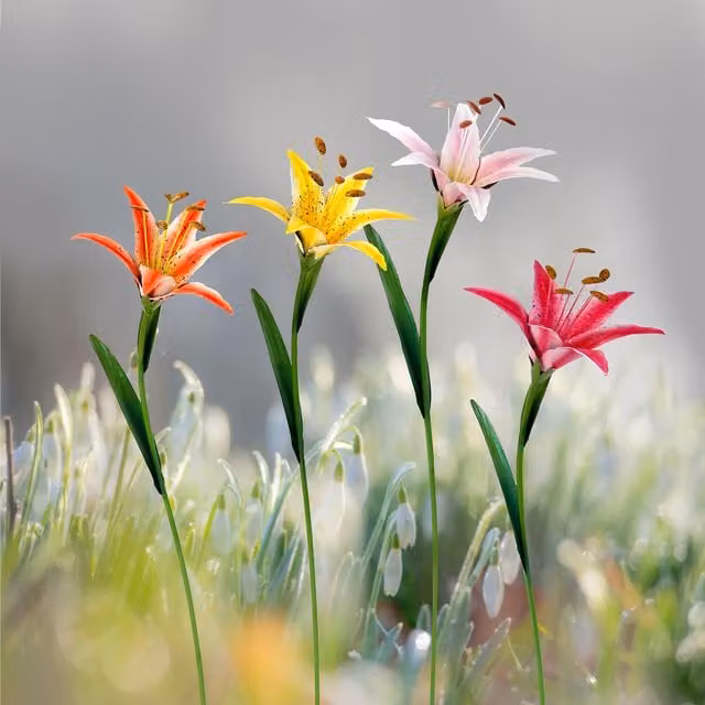 Ornate Collection Lily Garden Stake in Multicolour