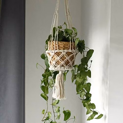 KDMD White Macrame Hanging Plant Holder for a Single Small Pot
