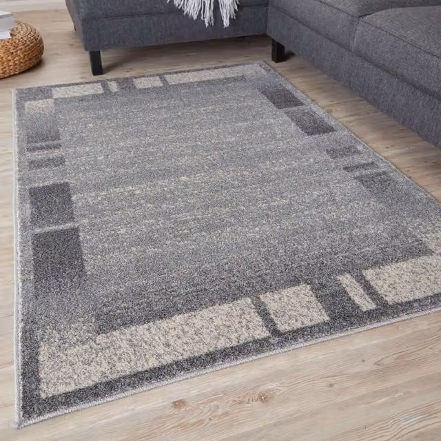 THE RUGS Efes Collection Modern Bordered Living Room Rug in Grey, W/D/H: 120 x 170 cm – 1