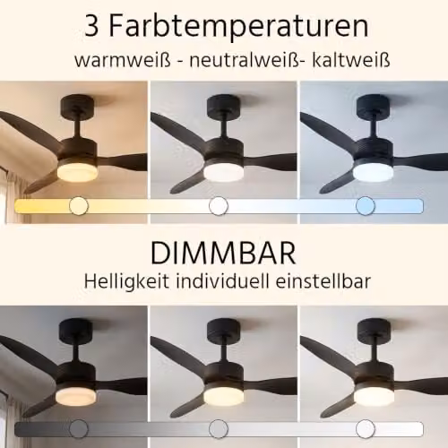 Netlighting Blackwell LED Ceiling Fan in Black with Remote Control, Dimmable CCT Light and Timer, Diameter: 106 cm – 4
