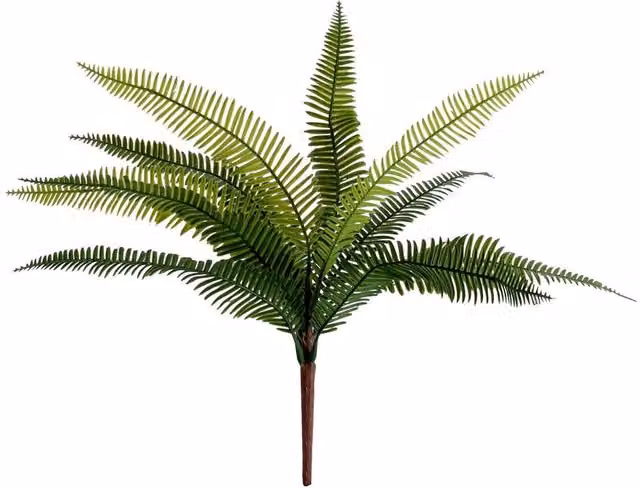 Kingsbury Gifts Artificial Birds Nest Fern, Green, Height: 33 cm