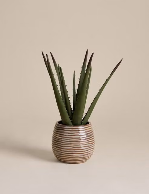 M&S Artificial Aloe Vera Succulent in a Beige Ceramic Pot