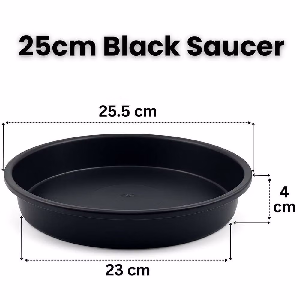 SPETLEK Black Plastic Plant Pot Saucers, 10 Pack, Diameter: 25 cm – 1