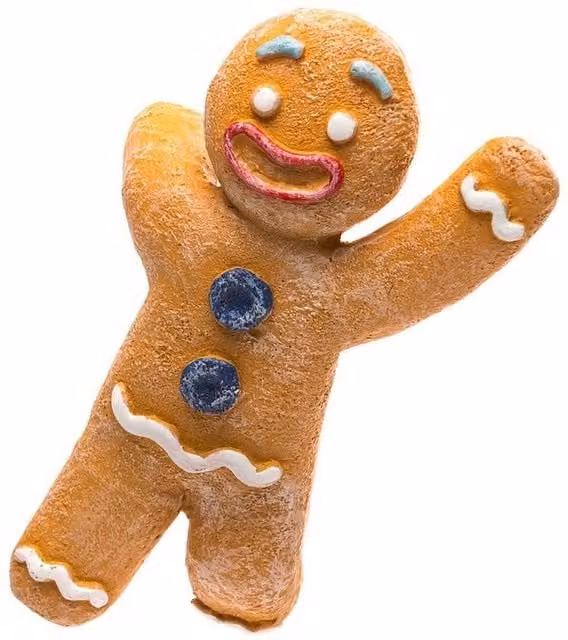 Jardinopia Gingerbread Man Pot Buddy in Orange and Multicolour, W: 6.5 cm, D: 1 cm, H: 3 cm – 1