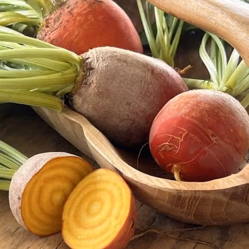 Thompson & Morgan Golden Eye Beetroot Seeds, Yellow Variety – 1