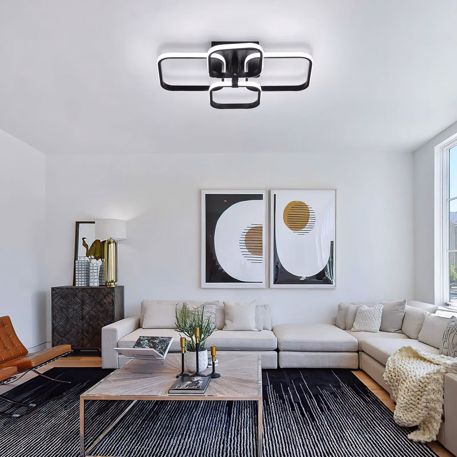 Pheashine Modern LED Ring Ceiling Light in Black with Cool White Light – 4