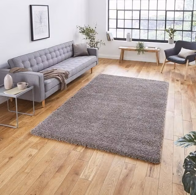 Terrys Modern Plain Rectangular Shaggy Rug in Beige, Stain Resistant Polypropylene