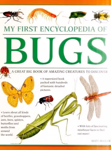 My First Encyclopedia of Bugs by Armadillo Music, Multicolour Paper Book