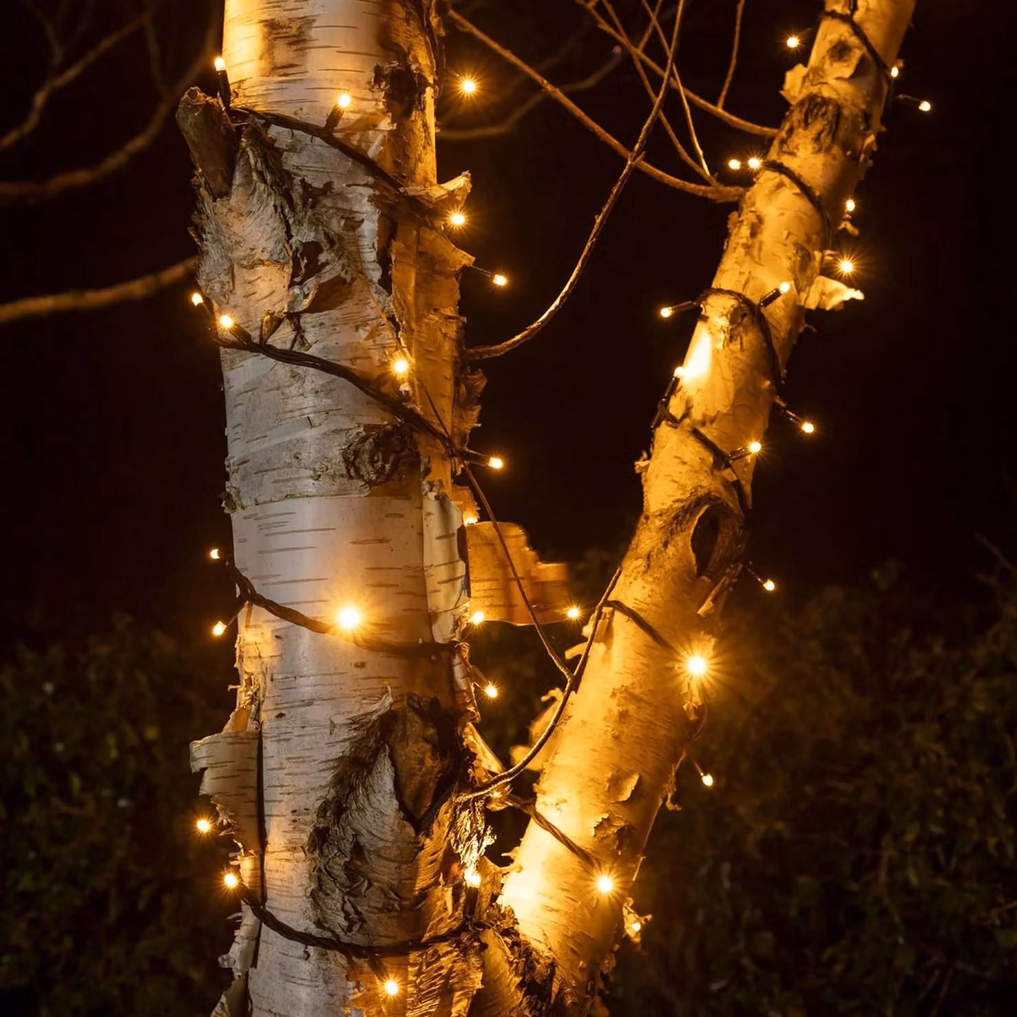 Pro Connect 1950 Traditional Warm White Connectable LED String Lights with Black Cable