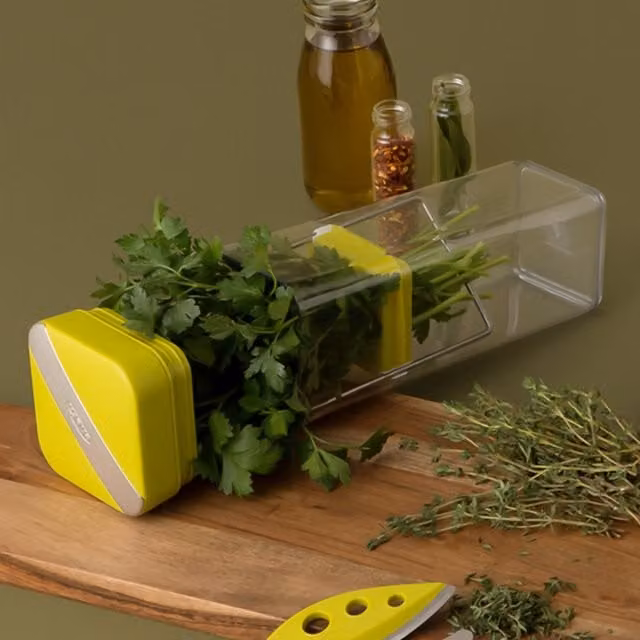 Chef'n Fresh Herb Storage in Green and Transparent