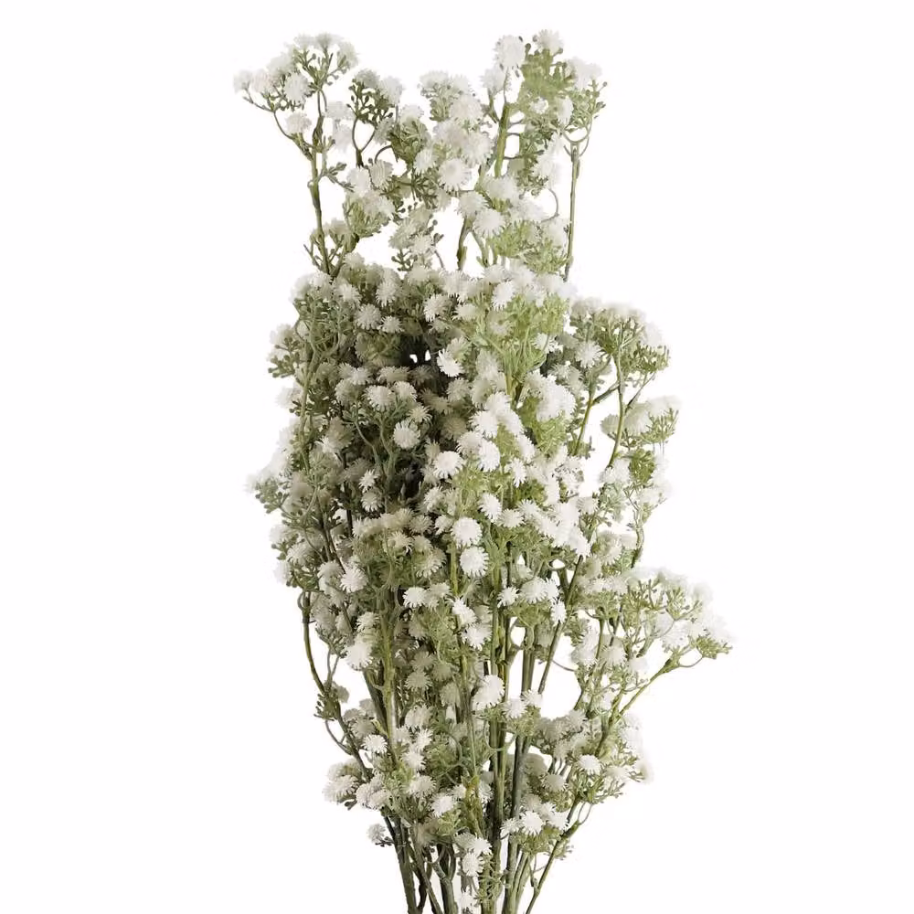 Leaf Premium Artificial White Gypsophila Floral Stems, Pack of 6, Height: 85 cm – 2