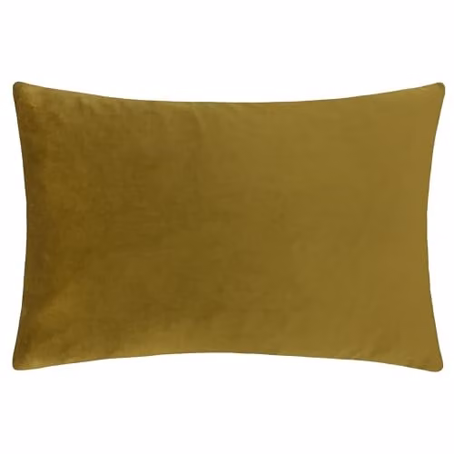 Riva Home Velvet Rectangular Cushion with Polyester Filling, Green, W/D/H: 60 x 40 x 40 cm