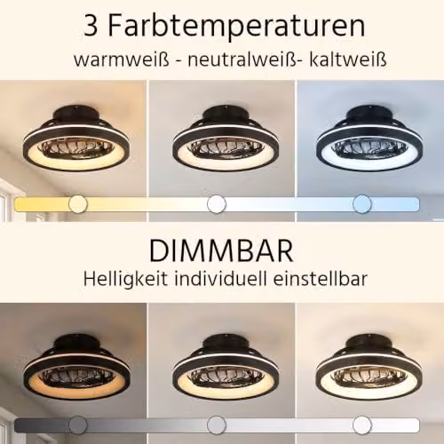 Netlighting Globo Lighting Modern Ceiling Fan in Black with RGBW LED, Dimmable Remote Control and Timer, Diameter: 48 cm – 6