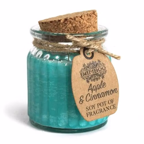 KDMD Apple & Cinnamon Soy Pot of Fragrance Candles, Set of 2, Petrol and Brown