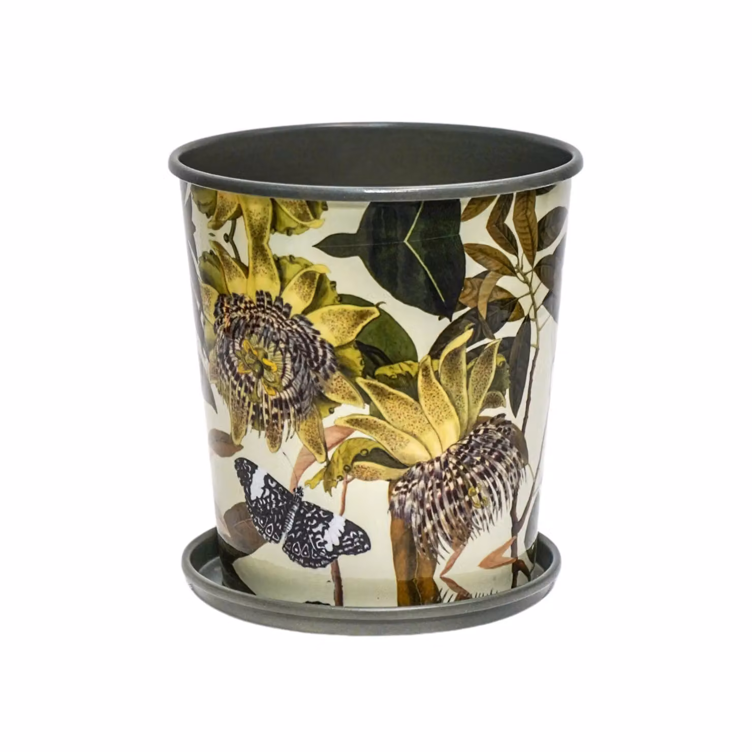 Royal Botanic Gardens Kew Botanical Retreat Planter with Detachable Saucer, Green, Diameter: 16 cm – 2