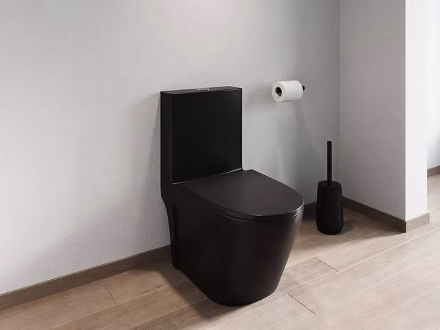 Vente-unique NAGILAM Matt Black Ceramic Floor-Standing WC with Soft-Close Seat and Horizontal Outlet, H: 78.5 cm, W: 35.0 cm, D: 69.0 cm