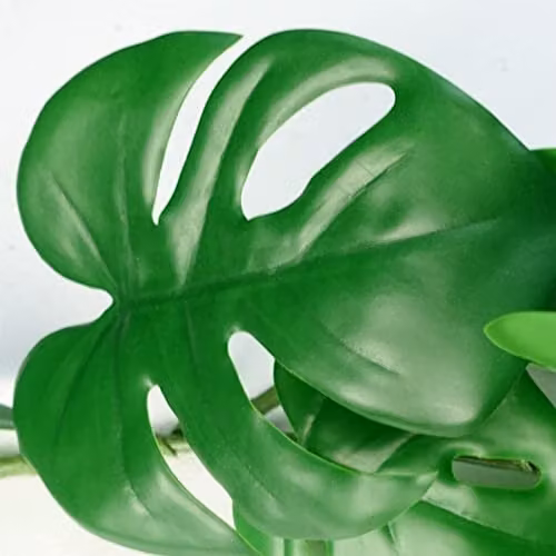 Leaf Design Green Monstera Artificial Hanging Plants Multipack of 6, Length: 180 cm – 4