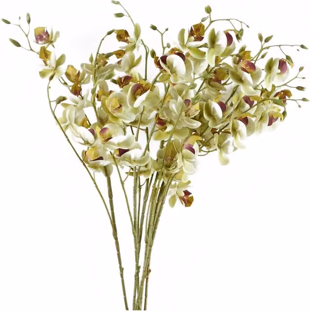 Pack of 6 Cream Artificial Mini Orchid Stems with Leaves, Height: 80 cm