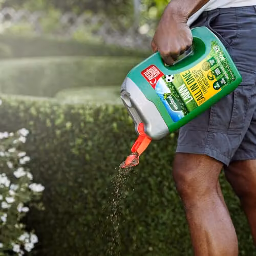 Westland All In One Lawn Care Spreader for 80m2 – 2