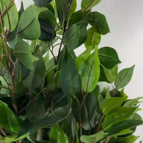 Leaf Artificial Green Ficus Twist Tree in a Gold Metal Planter, Height: 110 cm – 5