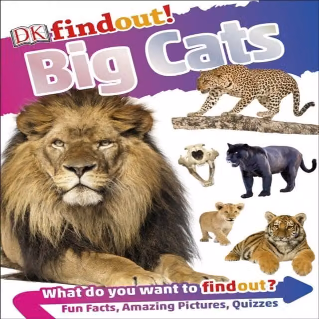 DK Findout Big Cats Multicolour Paperback Book