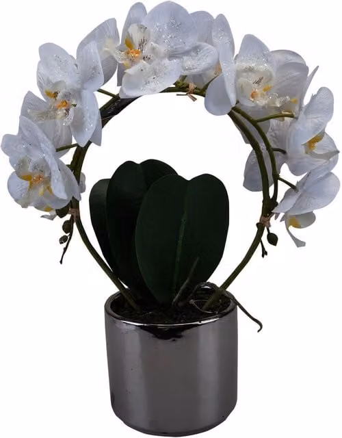 VFM e-Store Phalaenopsis Artificial Orchid Potted Plant in White and Beige, H 36.6 x W 27.5 x D 13.2 cm