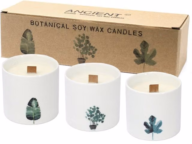 KDMD Large Botanical Marsh Viola Soy Wax Candle in White Ceramic with Wood Wick