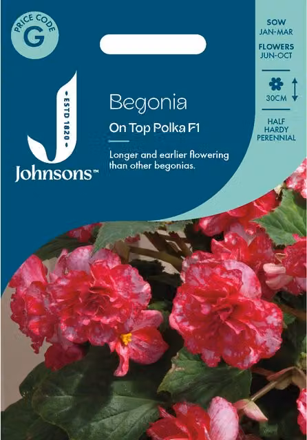 Johnsons Seeds Begonia On Top Polka Flower Seeds in Pink, Red and White
