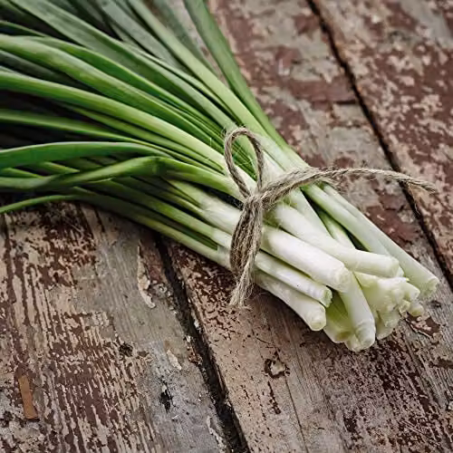 Thompson and Morgan Organic White Lisbon Spring Onion Seeds, Approx. 350 Seeds – 2