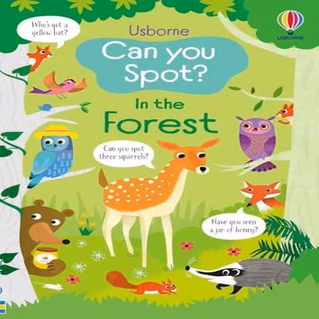 Can You Spot? In the Forest by Kirsteen Robson, Usborne Publishing Ltd, Multicolour Paperback Book