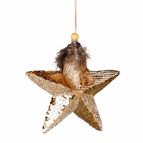 Shatchi Gold Star Christmas Hanging Decoration, 15 cm