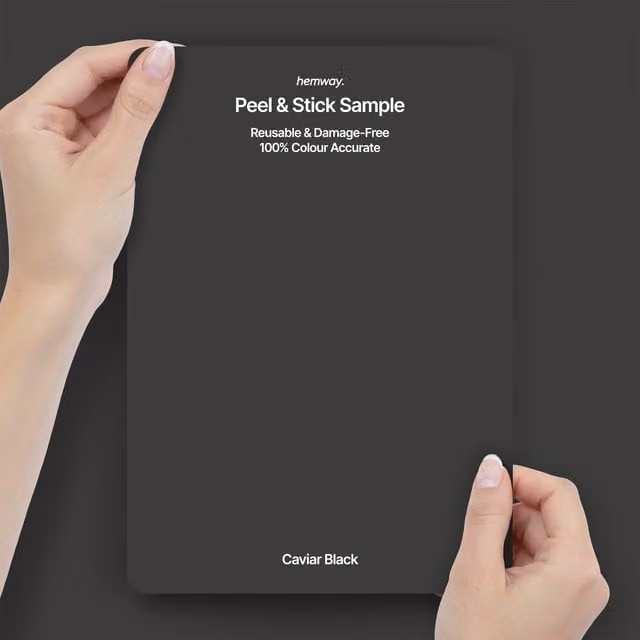 Hemway Interior Paint Sample Peel and Stick Swatch in Caviar Black