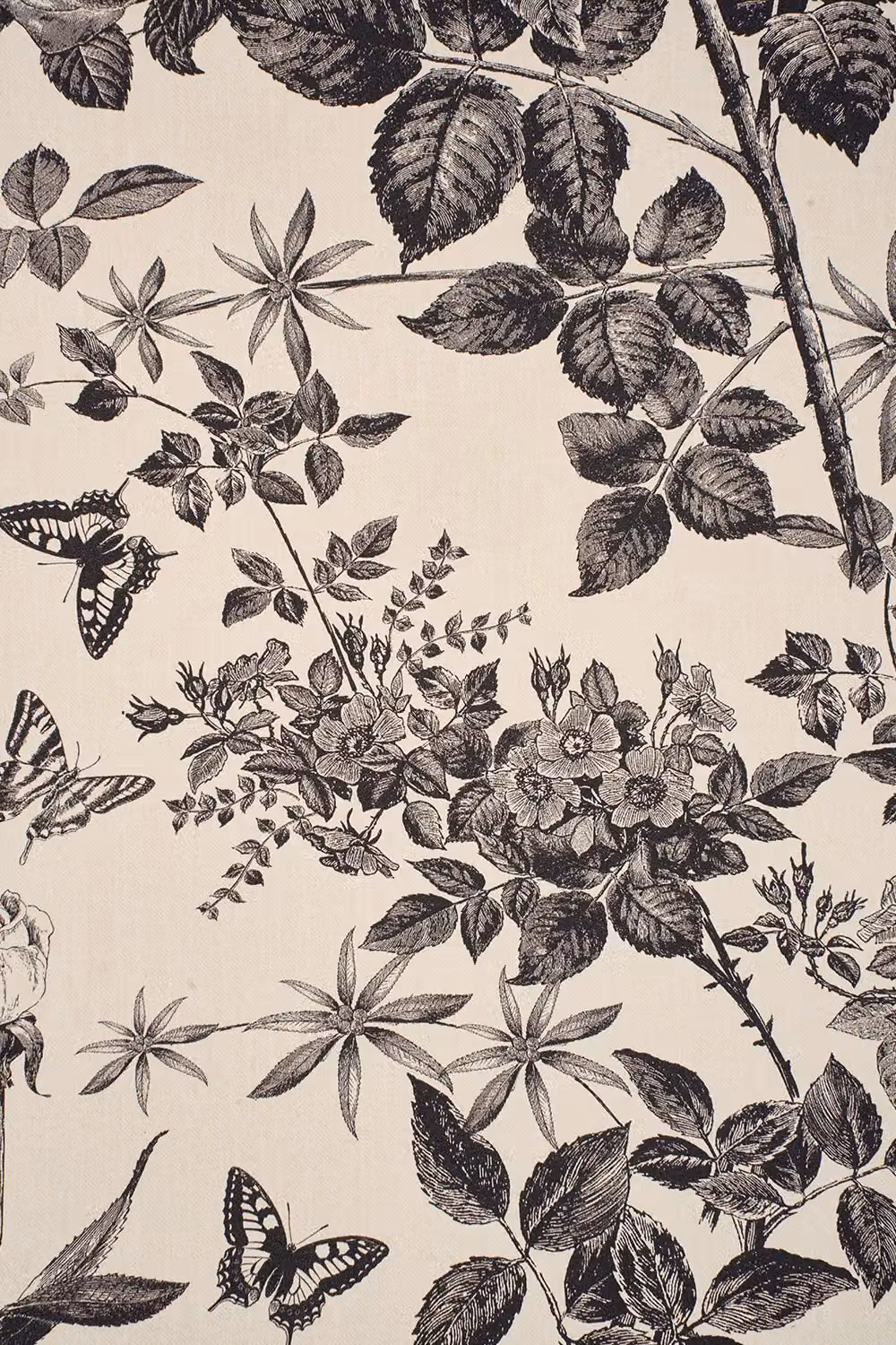 Living and Home Black and Beige Botanical Vinyl Self-Adhesive Wallpaper with Vintage Floral and Nature Design – 3