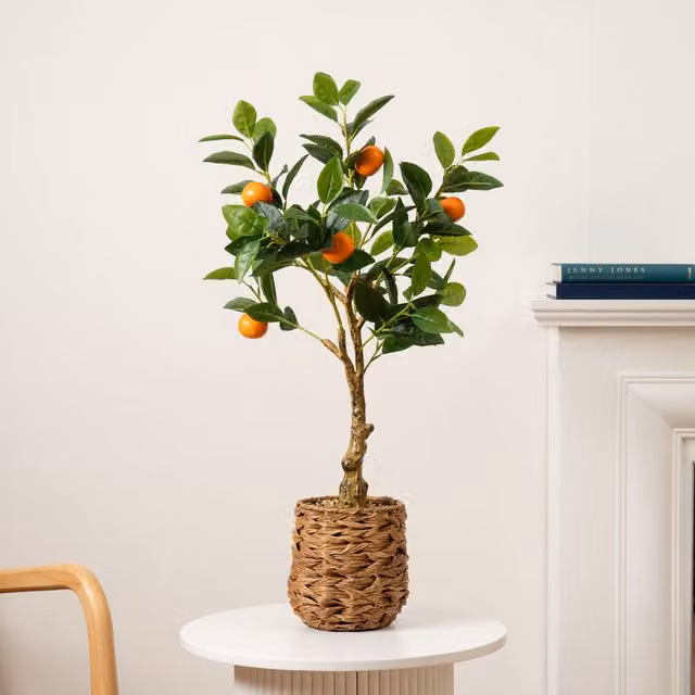 Scottish Everlastings Ltd Orange Tree in Green Woven Rattan Basket, Height: 76 cm